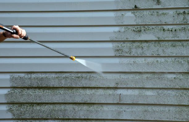 Best Local Pressure Washing Services  in White Oak, MS