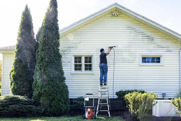 Best Affordable Power Washing  in White Oak, MS