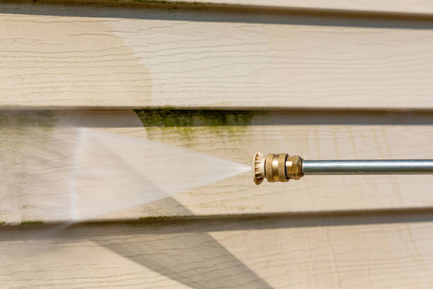 Best Roof Pressure Washing  in White Oak, MS